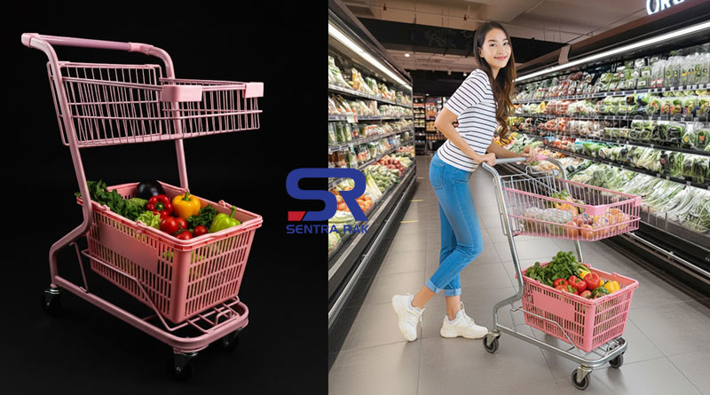 Solusi Belanja Efisien Mengulas Trolley Belanja 2 Susun yang Praktis dan Eye Catching2